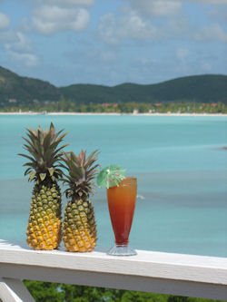Vacations Magazine: An Authentic Taste of Antigua