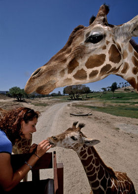 Vacations Magazine: June: Wild Things
