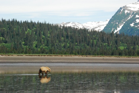 Vacations Magazine: The Thrill of Alaska