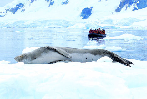 Vacations Magazine: Adventures in Antarctica: Part 1